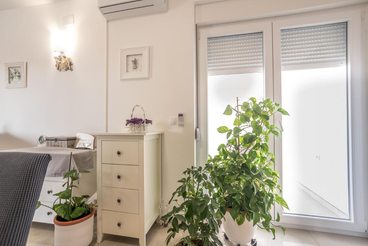 Apartments Sandrina Vrsi Εξωτερικό φωτογραφία